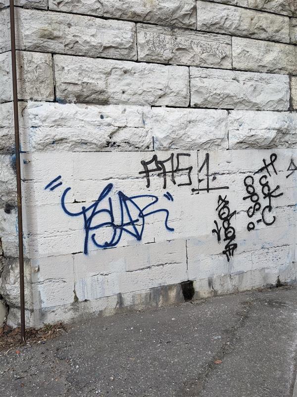 Image is of several tags on an underpass in the Junction. There are three names and one which reads "Fuck Cops!" This portion has recently been painted over, possibly in an attempt to cover previous tags.