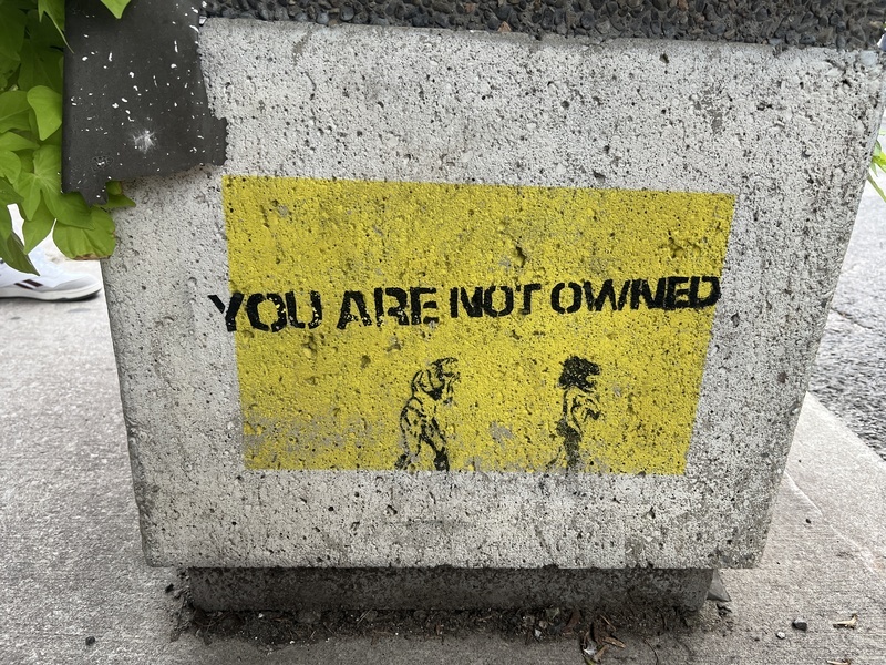 Two cave people, one woman, one man, with a yellow background and the words "You are not owned" written in black 