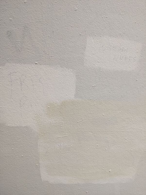 Paint covering sections of a wall that have been graffitied. "Free Palestine" is faintly visible.