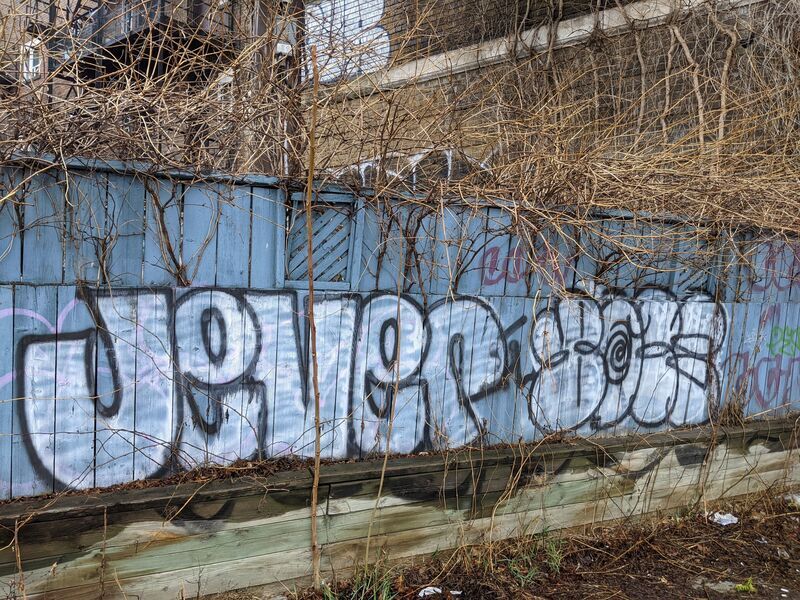 Tags on blue fence outside a daycare.