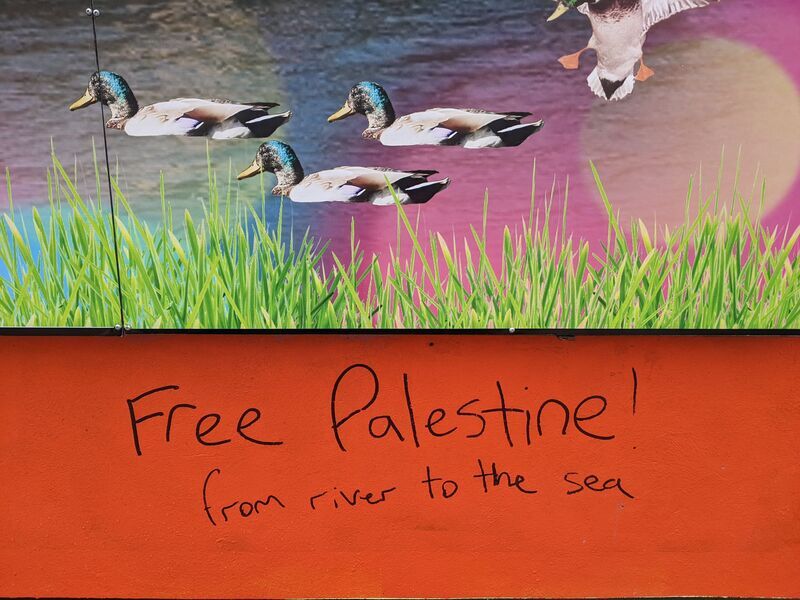 "Free Palestine" written in marker below a collage of grass, water, and ducks.